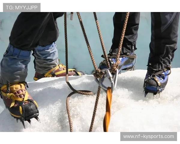 大型森林高空绳索探索，刺激十足的极限体验，高空绳索训练架